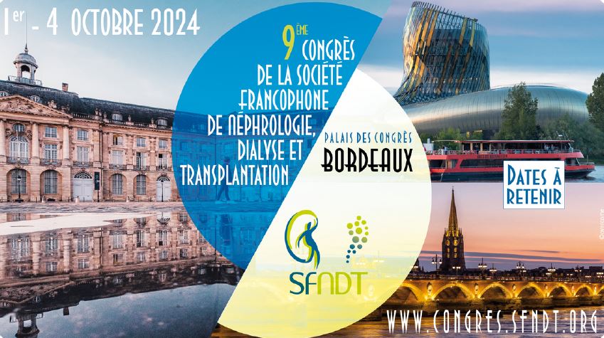 SFNDT 2024